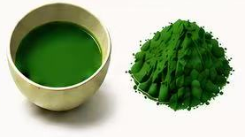 KK-06 illustrative matcha photograph